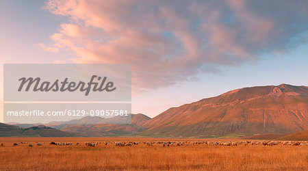 Europe,Italy,Umbria,Perugia district,Castelluccio of Norcia. Sibillini mountains at sunset