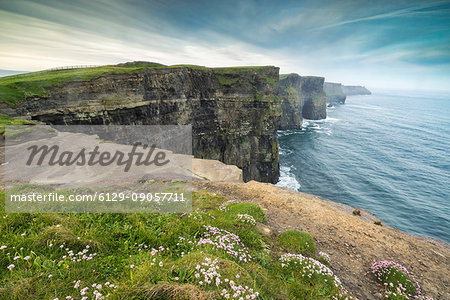 Cliffs of Moher with flowers on the foreground. Liscannor, Munster, Co.Clare, Ireland, Europe. Cliffs of Moher with flowers on the foreground. Liscannor, Munster, Co.Clare, Ireland, Europe.