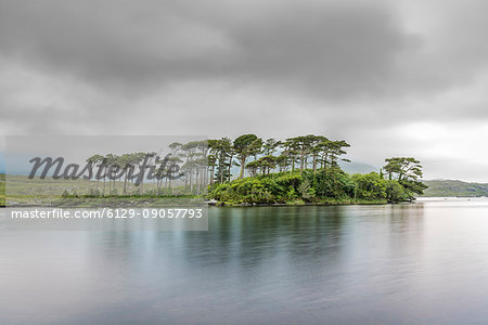 Pine Island on Derryclare Lake. Connemara, Co. Galway, Connacht province, Ireland.