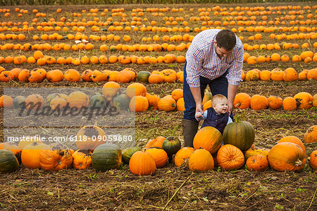 A man and a boy toddler among rows of bright yellow, green and orange pumpkins in autumn.
