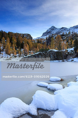 Frozen Lake Mufule framed by larches and snow in autumn, Malenco Valley, Province of Sondrio, Valtellina, Lombardy, Italy, Europe