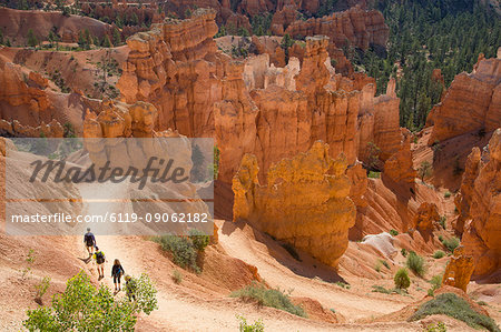 Hiking the Queens Garden Trail, Bryce Canyon National Park, Utah, United States of America, North America