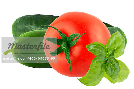 Isolated salad ingredients. Cucumber, tomato and basil isolated on white background