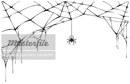 Black spider and torn web. Scary spiderweb of halloween symbol. Isolated on white vector illustration