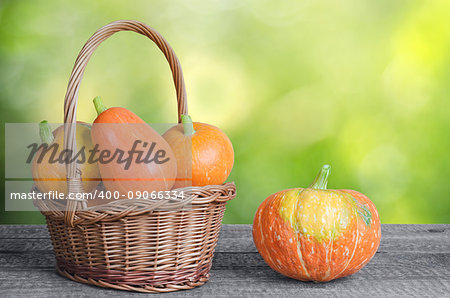 Little ripe orange pumpkin in the basket