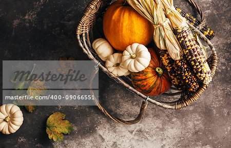 Different pumpkins and corn on the cob in a in basket. Autumn background
