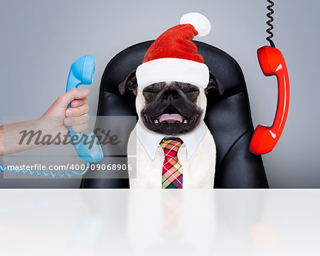 office businessman pug  dog  as  boss and chef , busy and burnout , sitting on leather chair and desk, telephones hanging around, on christmas holidays vacation with santa claus hat