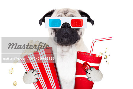 pug dog watching a movie in a cinema theater, with soda and popcorn wearing  3d glasses, isolated on white background