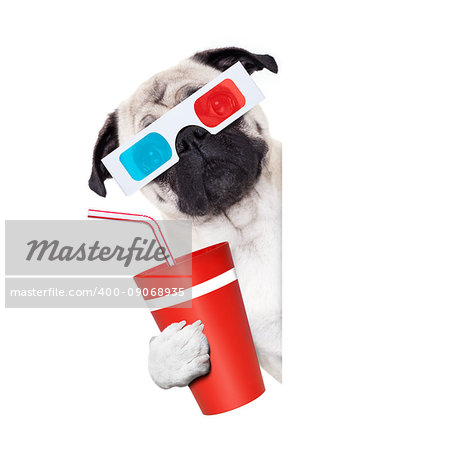 pug dog at the cinema watching the  movies  with 3d glasses isolated on white background , with soda beverage