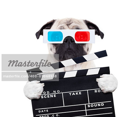 dog watching the  movies  with 3d glasses and a scene cinema clapper slate board, isolated on white background