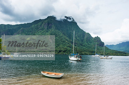 Sailing boat in Cooks Bay, Moorea, Society Islands, French Polynesia, Pacific