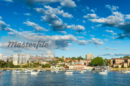 Manly harbour, Sydney, New South Wales, Australia, Pacific