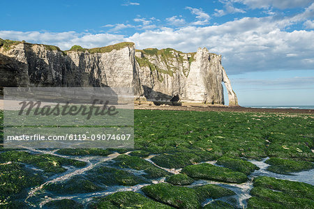 Porte d'Aval with low tide and seaweed on the beach, Etretat, Normandy, France, Europe