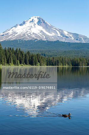 Mount Hood, part of the Cascade Range, perfectly reflected in the still waters of Trillium Lake, Oregon, United States of America, North America