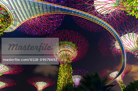 Low angle view of illuminated Supertree Grove at Gardens by the Bay, Singapore at night.