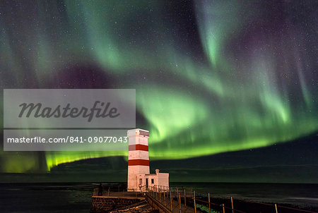 Spectacular display of the Aurora Borealis (Northern Lights) at Gardur, on the Reykjanes Peninsula, Iceland, Polar Regions