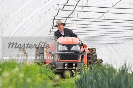 Farmer driving tractor in polytunnel