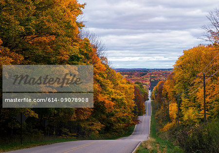 Tree lined road, Autumn, Harbor Springs, Michigan, United States, North America