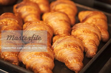Close up of tray of freshly baked croissants in a bakery.