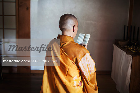 Rear view of Buddhist monk with shaved head wearing golden robe sitting indoors in a temple, holding prayer text.