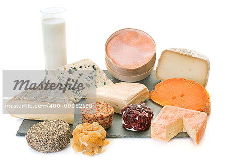 group of cheese in front of white background