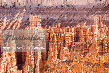 View of hoodoo formations from the Navajo Loop Trail in Bryce Canyon National Park, Utah, United States of America, North America