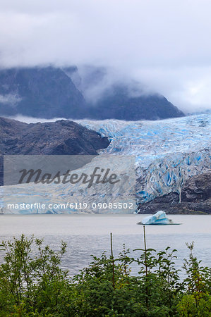 Mendenhall Glacier and Lake, with iceberg, bright blue ice, forest and mist, from Visitor Centre, Juneau, Alaska, United States of America, North America