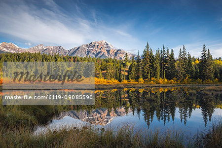 Pyramid Mountain reflected in a lake with autumn colour, Jasper National Park, UNESCO World Heritage Site, Canadian Rockies, Alberta, Canada, North America