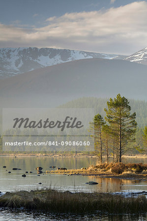 Sunrise over the Cairngorm Mountains and Loch Morlich, Scotland, United Kingdom, Europe