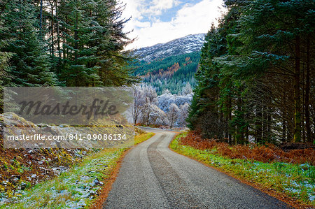 A winter view of a winding road through a wooded valley in the Ardnamurchan Peninsula, the Scottish Highlands, Scotland, United Kingdom, Europe