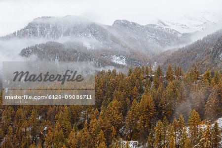 Chisone Valley (Valle Chisone), Turin province, Piedmont, Italy, Europe. Autumn colors with snow