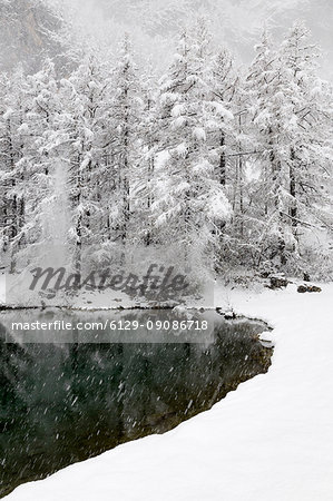 Chisone Valley (Valle Chisone), Turin province, Piedmont, Italy, Europe. Blizzard landscapes into Piedmont mountains