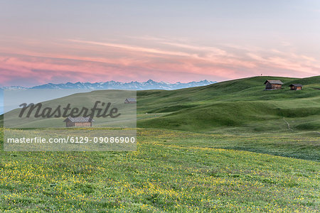 Alpe di Siusi/Seiser Alm, Dolomites, South Tyrol, Italy. The morning on the Alpe di Siusi. Alpe di Siusi/Seiser Alm, Dolomites, South Tyrol, Italy. The morning on the Alpe di Siusi.