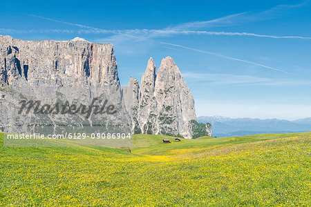Alpe di Siusi/Seiser Alm, Dolomites, South Tyrol, Italy. Alpe di Siusi/Seiser Alm, Dolomites, South Tyrol, Italy.