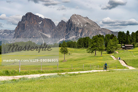 Alpe di Siusi/Seiser Alm, Dolomites, South Tyrol, Italy. Alpe di Siusi/Seiser Alm, Dolomites, South Tyrol, Italy.