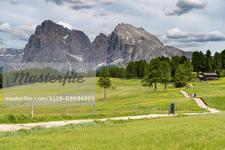 Alpe di Siusi/Seiser Alm, Dolomites, South Tyrol, Italy.