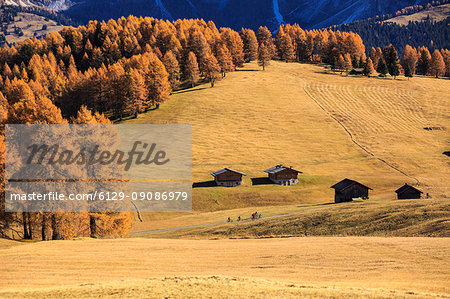 Alpine landscape during autumn, Alpe di Siusi/Seiser Alm, Dolomites, province of Bolzano, South Tyrol, Italy