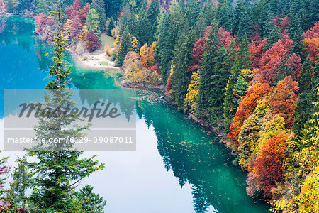 Lake Tovel in the autumn Europe, Italy, Trentino Alto Adige, Non valley, Ville d'Anaunia, Tuenno