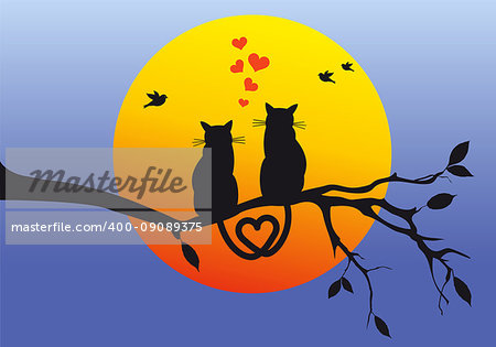 cats sitting on tree branch watching the sunset, vector illustration