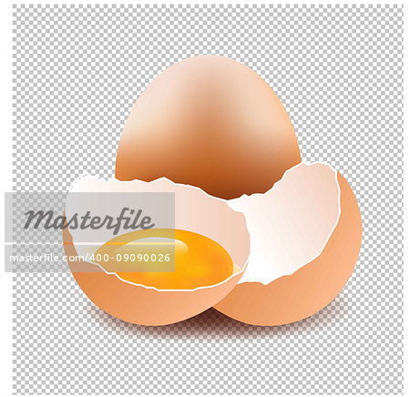 Eggs With Isolated Background Gradient Mesh, Vector Illustration