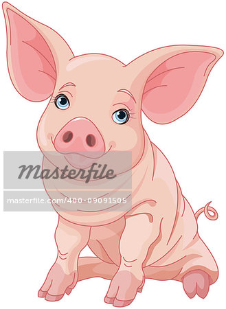Illustration of cute pig