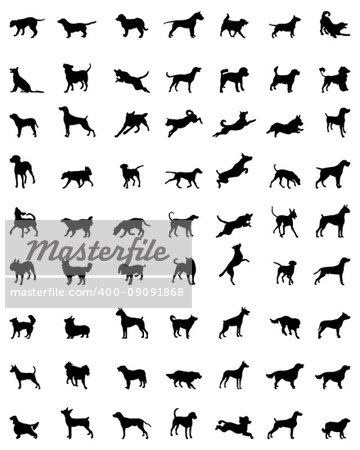 Black silhouettes of different races of dogs