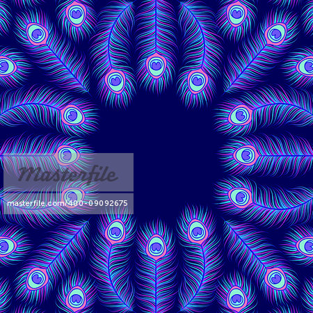 Invitation card with colorful peacock feathers on dark blue background