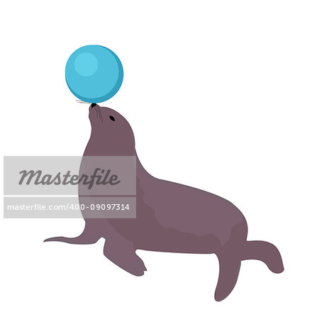 Sea lion with a ball, circus icon flat style, isolated on white background. Vector illustration