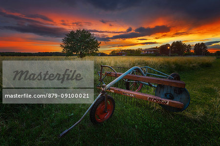 A plow in the field at sunset, Como province, Lombardy, Italy, Europe