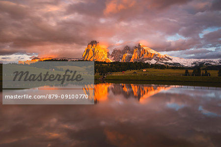 Alpe di Siusi/Seiser Alm, Dolomites, Kastelruth, South Tyrol, Italy.