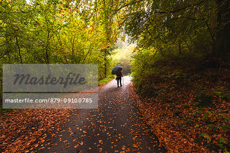 Path in Guglielmo Mount, Province of Brescia, Lombardy, Italy