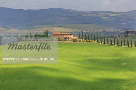 Italy, Tuscany, Orcia valley, farmhouse Poggio Covili at Castiglione d'orcia, provence of Siena