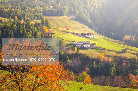 Funes Valley, Bolzano Province, Trentino Alto Adige, Italy