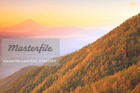 Beautiful view of Mount Fuji and autumn leaves, Yamanashi Prefecture, Japan